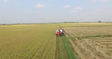 birleştirmek hasat 20/04/2016 Tay Nin'e ilk ayak alan üzerinde çalışıyor