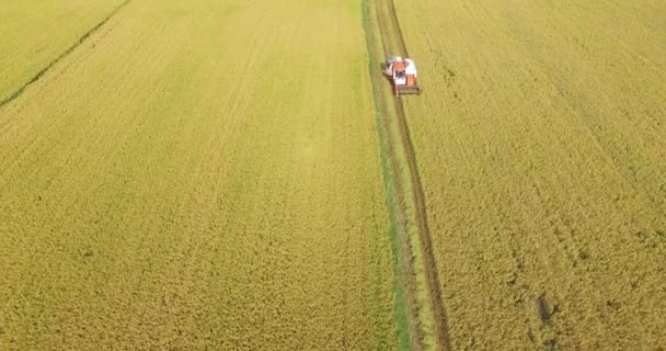 Össze harvester van működő-ra Tay Ninh mezőjében a 20/04/2016-ban — Stock videók