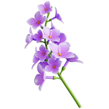 Leylak Bahar Çiçeği 3D Simgesi