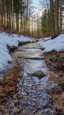 Ormanda bir nehir ve deresi olan güzel bir kış manzarası..