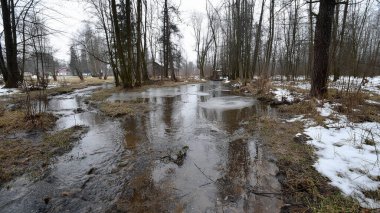 Ormandaki nehrin bahar manzarası, ilk kar, ağaçlar, kar, su ve ağaçlar.