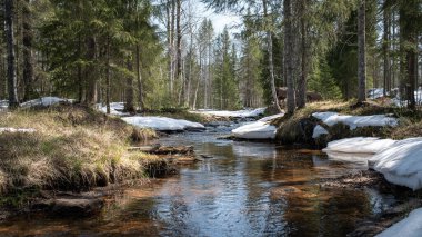 Güneşli bir kış gününde güzel şelale, İsveç