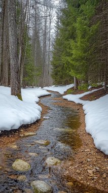 Doğanın güzel manzarası
