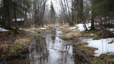 Ormandaki donmuş dere