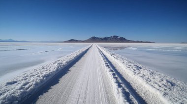 salt salt and uyuni salt lake, bolivia