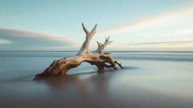 Güzel deniz manzarası. doğa arkaplanı