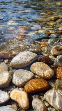 Güzel göl manzarası