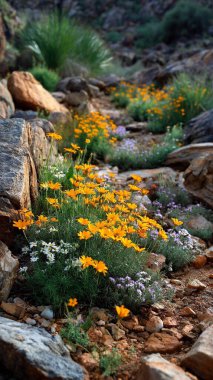Bahçedeki güzel çiçekler