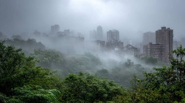 New York şehrinin manzarası