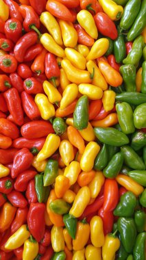 bir çok renkli biberin arka planı.