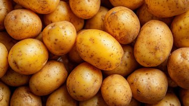 Taze taze organik patates arka planı.