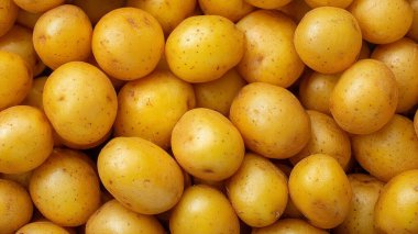 Taze olgun sarı patateslerin arka planı