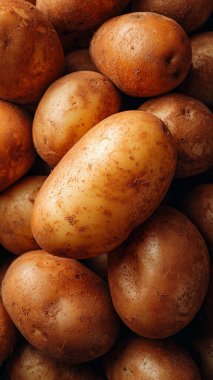 Siyah arkaplanda organik çiğ patates.