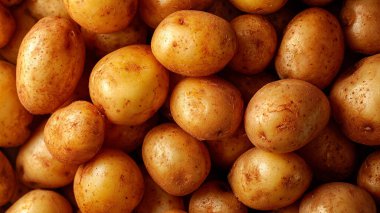 Yakın plan - çiğ patates.