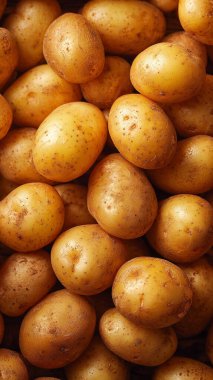 Taze çiğ patateslerin arka planı, yakın plan -.