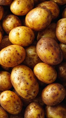 Çiğ organik kahverengi patates pişirmeye hazır.