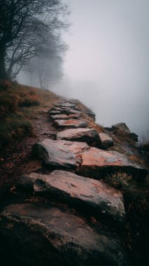 Parktaki taş patika