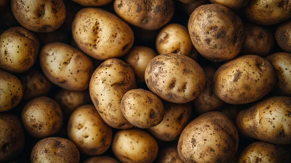 taze organik patates arka planı