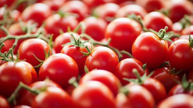 Markette kırmızı domates