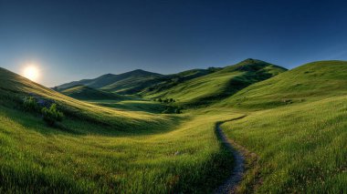 Sabah yeşil tepeli güzel bir manzara.
