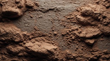 soil texture. background. soil texture with soil