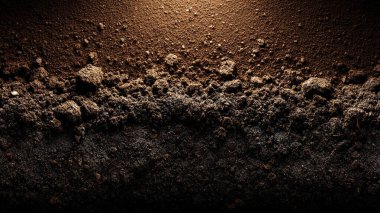 dark brown ground in the ground