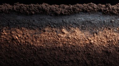 dark background with soil. earth day concept.