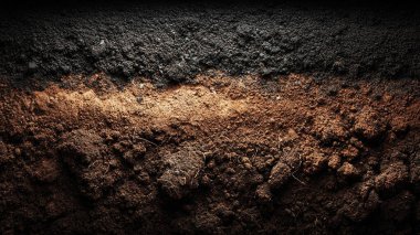 soil with dirt. soil texture.
