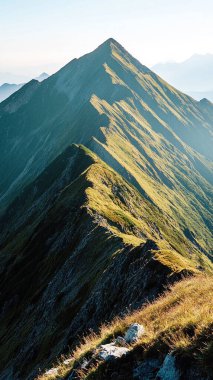 Yazın yeşil çimenler ve ağaçlarla kaplı dağ manzarası