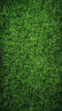 taze yeşil çimen dokusu