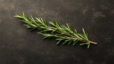 fresh rosemary on a black background. top view. space for text.