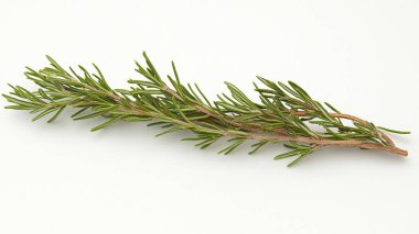 Beyaz arkaplanda biberiye izole edildi