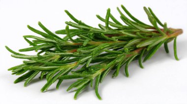 Beyaz arkaplanda taze yeşil biberiye.