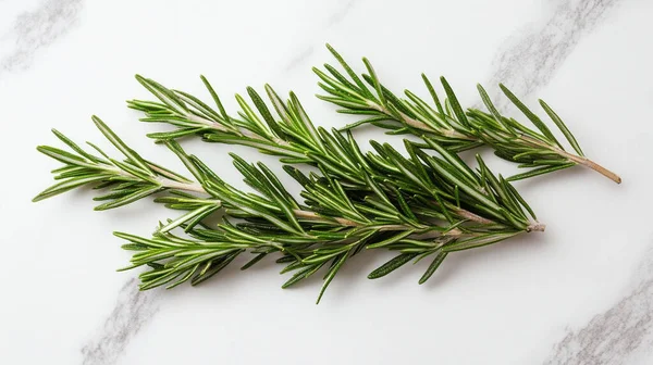 Beyaz arka planda taze biberiye bitkisi.