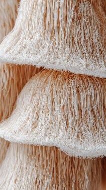 close up of white fluffy sheep wool background, natural fur, texture