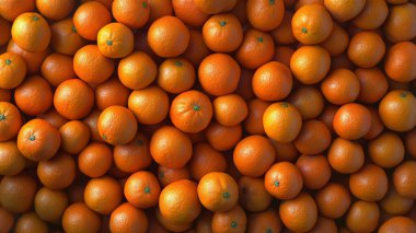 orange background. many fresh red orange and yellow tangerines. close up