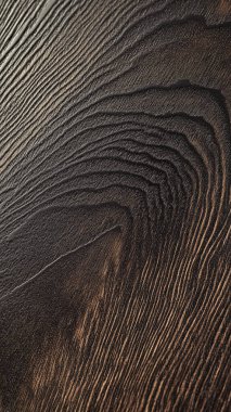 wooden background with a texture of the tree