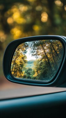 Ormanda yoldaki araba.