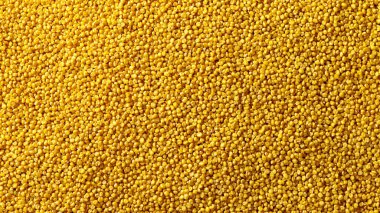 Sarı mısır tohumları dokusu arkaplanını kapat