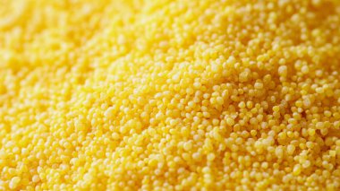 close up of a pile of yellow corn seeds