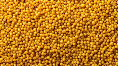 ham sarı mısır arkaplanı