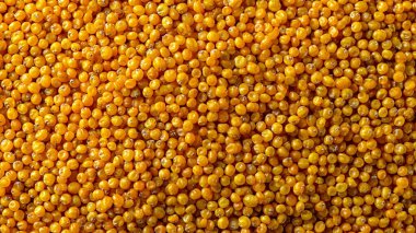 sarı ve kırmızı mercimek arkaplan dokusu.