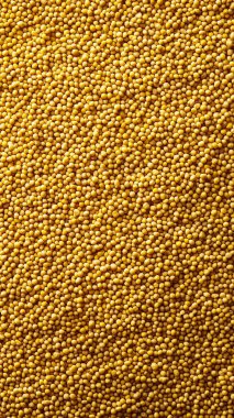 Taze taze mısırın sarı arkaplanı.