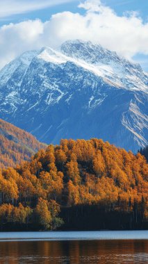 Dağları ve ağaçları olan güzel bir manzara.