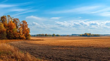 Kırsal alan. Güzel güneşli bir günde sonbahar tarlaları.