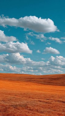 beautiful landscape with field and blue sky