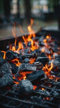 Ormandaki barbeküye yakın çekim