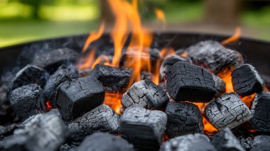 Yaklaş - Bahçede yanan bir ateş...