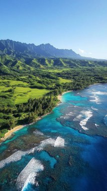 Mavi denizi ve yeşil otları olan tropikal plaj.