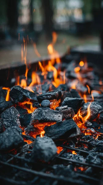 Ormandaki barbeküye yakın çekim
